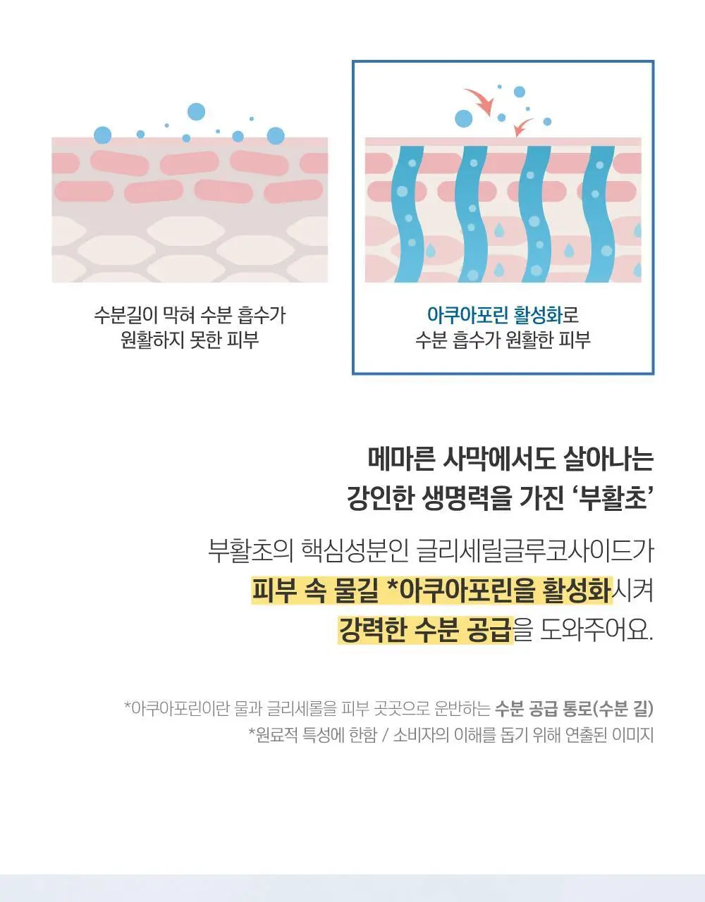 [수분촉촉/민경하 공동개발] 라운드랩 자작나무 수분 립밤 20g 상세페이지 9
